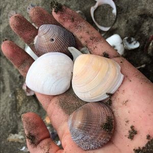 Meet your Posher, Laurie